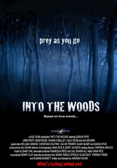 "Into the Woods" (2012) DVDRip.XviD-IGUANA