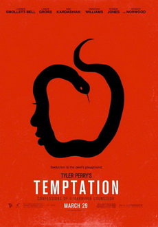 "Temptation: Confessions of a Marriage Counselor" (2013) BDRip.X264-GECKOS