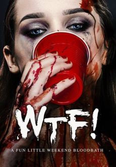 "Wtf!" (2017) WEBRip.x264-iNTENSO