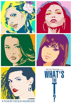 "What's the T?" (2012) WEBRip.x264-ION10