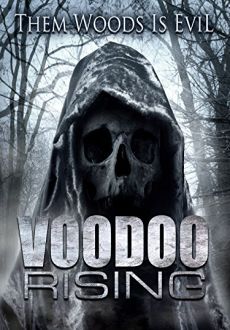 "Voodoo Rising" (2016) WEB.H264-STRiFE