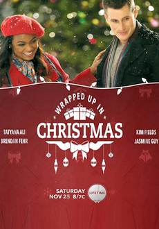 "Wrapped Up In Christmas" (2017) HDTV.x264-CRiMSON