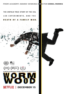 "Wormwood" [S01] WEBRip.x264-RARBG