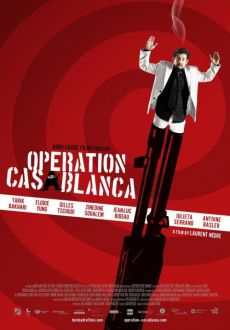 "Opération Casablanca" (2010) PL.HDTV.XViD-PSiG