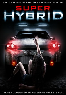 "Super Hybrid" (2010) PL.BDRiP.XViD-PSiG