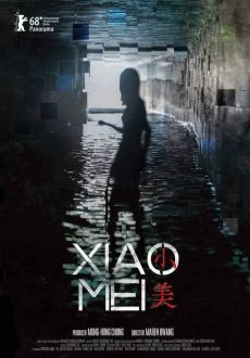 "Xiao Mei" (2018) DVDRip.x264-BiPOLAR