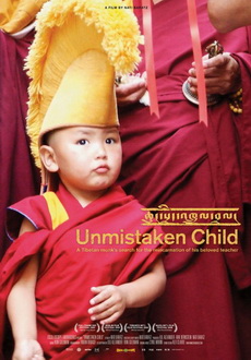 "Unmistaken Child" (2008) LiMiTED.DVDRip.XviD-LPD