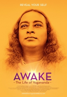 "Awake: The Life of Yogananda" (2014) LIMITED.DVDRip.x264-BiPOLAR